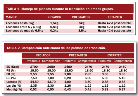 Aumento de homogeneidad en la fase de Cebo - Image 4