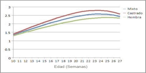Nutrición de los cerdos en crecimiento y finalización: 1 - introducción - Image 8