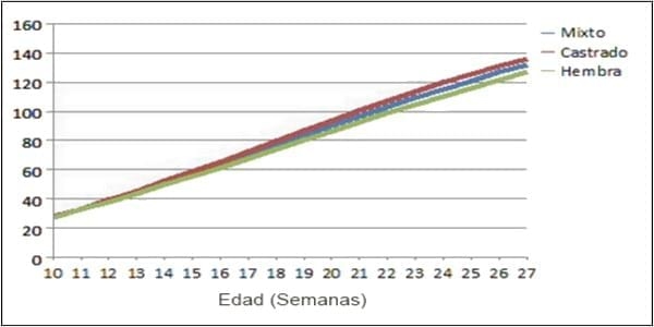 Nutrición de los cerdos en crecimiento y finalización: 1 - introducción - Image 9