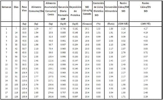 Nutrición de los cerdos en crecimiento y finalización: 2 – Energía y Aminoácidos - Image 7