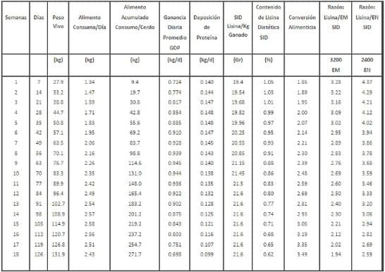 Nutrición de los cerdos en crecimiento y finalización: 2 – Energía y Aminoácidos - Image 6