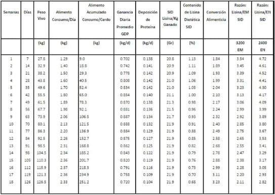 Nutrición de los cerdos en crecimiento y finalización: 2 – Energía y Aminoácidos - Image 8