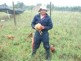 “Avicultura Orgánica Empresarial: lo que se requiere para lograrlo” - Image 3