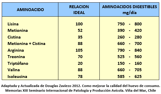 Como mejorar la calidad del huevo - Image 4