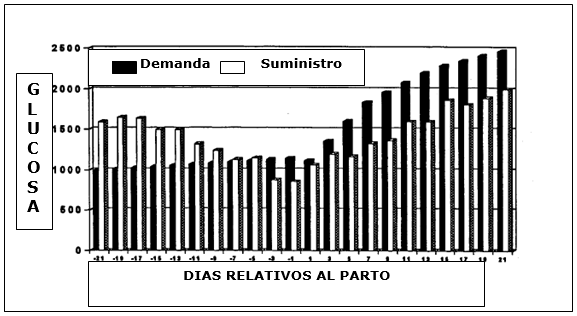 Vacas lecheras de alta producción adaptación metabólica durante el período peripartal - Image 4