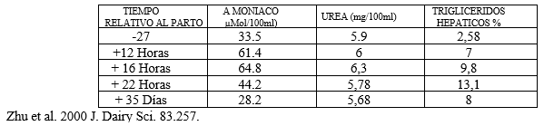 Vacas lecheras de alta producción adaptación metabólica durante el período peripartal - Image 7
