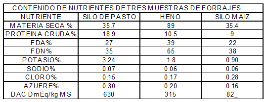 Vacas lecheras de alta producción adaptación metabólica durante el período peripartal - Image 10