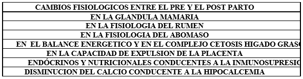 Vacas lecheras de alta producción adaptación metabólica durante el período peripartal - Image 1