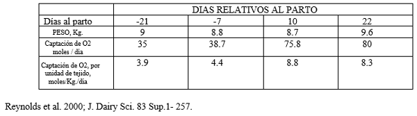 Vacas lecheras de alta producción adaptación metabólica durante el período peripartal - Image 3