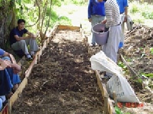 Los abonos orgánicos, alternativa en la gestión de la fertilidad de los suelos - Image 24