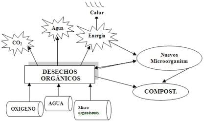 Los abonos orgánicos, alternativa en la gestión de la fertilidad de los suelos - Image 5