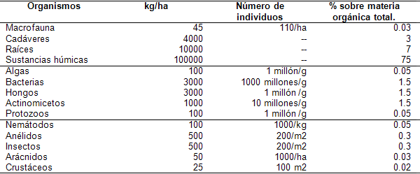 Los abonos orgánicos, alternativa en la gestión de la fertilidad de los suelos - Image 2