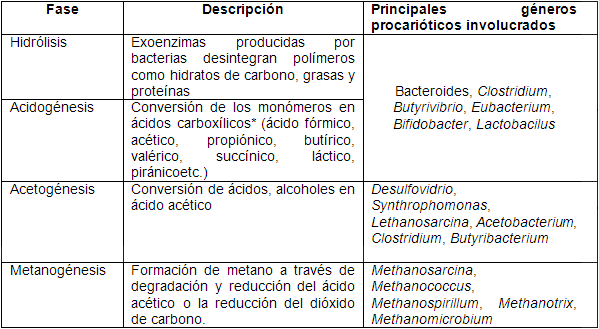 Los abonos orgánicos, alternativa en la gestión de la fertilidad de los suelos - Image 32