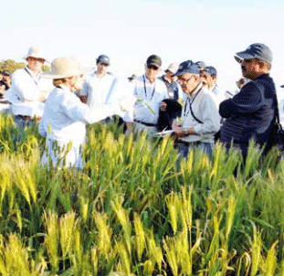 Fortaleciendo el trabajo en red de INIA: Acuerdos y convenios nacionales e internacionales implementados durante el año 2016 - Image 1