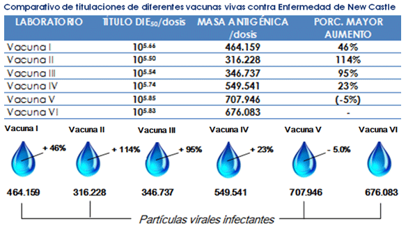 Brotes de enfermedad de New Castle en Colombia. ¿Dejaron de trabajar las vacunas…? - Image 3