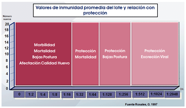 Brotes de enfermedad de New Castle en Colombia. ¿Dejaron de trabajar las vacunas…? - Image 11