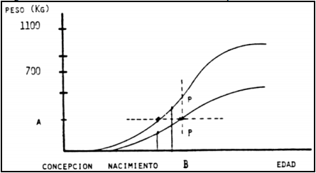 Crecimiento, desarrollo y precocidad - Image 13