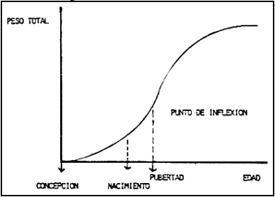 Crecimiento, desarrollo y precocidad - Image 2