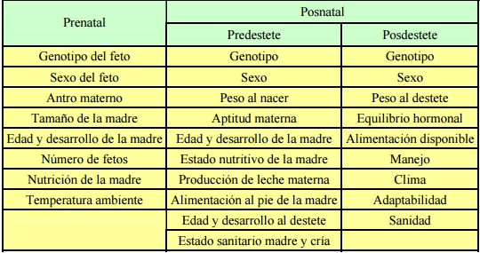 Crecimiento, desarrollo y precocidad - Image 1