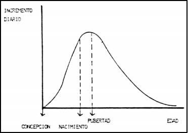 Crecimiento, desarrollo y precocidad - Image 4