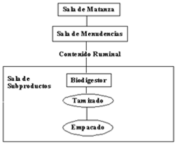 Valoración del contenido ruminal de bovinos beneficiados en el municipio piritu estado Falcon-Venezuela, como recurso alimenticio - Image 2