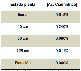 Plantas tóxicas para rumiantes en pastoreo - Image 5