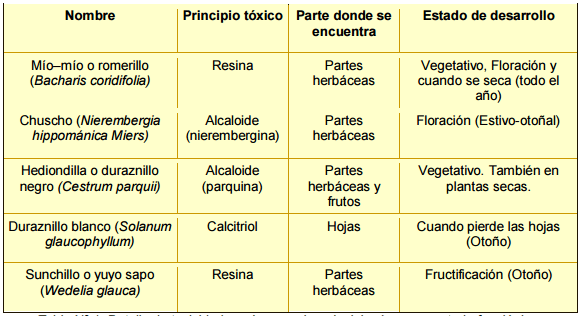 Plantas tóxicas para rumiantes en pastoreo - Image 1