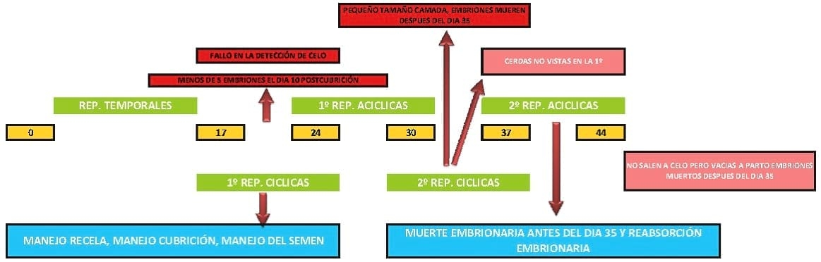 Registros informaticos como herramienta diágnostica - Image 11