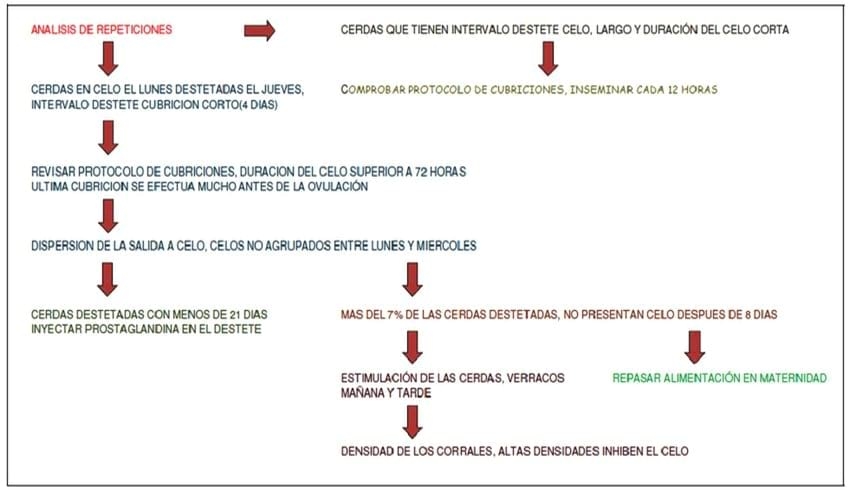 Registros informaticos como herramienta diágnostica - Image 9
