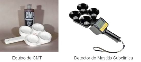Prevención y control de los tipos de mastitis bovina - Image 4