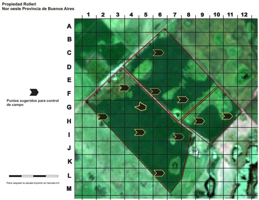 Teledetección Agropecuaria - Image 4