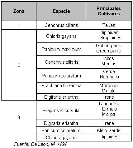 Las tres claves para potenciar los sistemas ganaderos: la utilización de pasturas, reservas forrajeras y suplementación estratégica - Image 1
