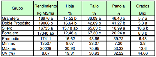 La utilización de silajes en los sistemas ganaderos - Image 1