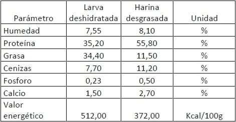 Harina de insectos, se cierra el ciclo de reciclaje orgánico - Image 4