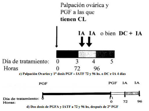 Esquemas de sincronización de celo - Image 3