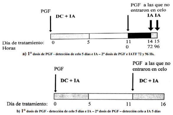 Esquemas de sincronización de celo - Image 2