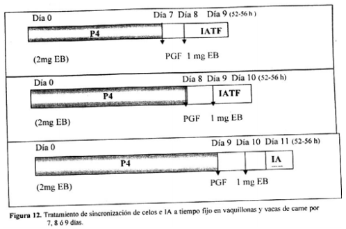 Esquemas de sincronización de celo - Image 6