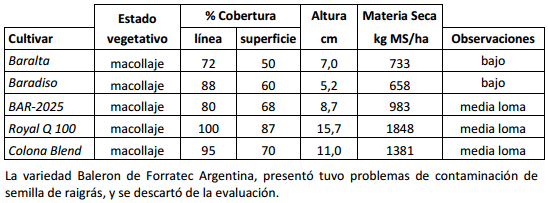 Implantación de cultivares de festuca en la Cuenca del Salado - Image 4