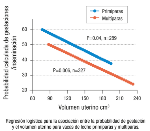 Se demuestra una asociación negativa entre el tamaño del útero y la fertilidad en vacas de leche - Image 2