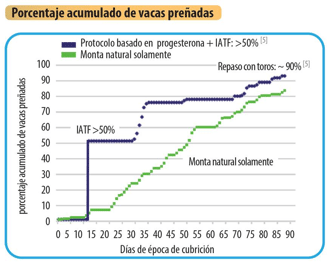 Programas de alta eficiencia reproductiva en vacas de carne - Image 2