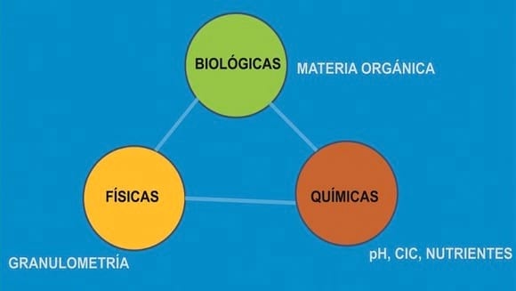 El paradigma de los suelos - Image 7