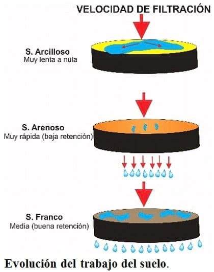 El paradigma de los suelos - Image 9