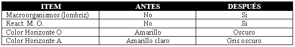 El paradigma de los suelos - Image 3