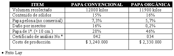 El paradigma de los suelos - Image 6