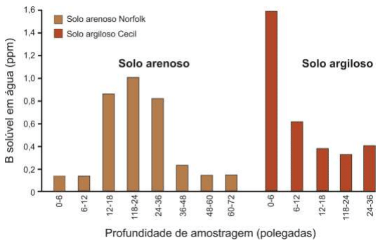 Síndrome de las raíces atrofiadas II. Deficiencia de boro - Image 8