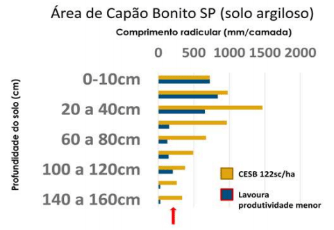 Síndrome de las raíces atrofiadas I. Toxicidad del aluminio - Image 2