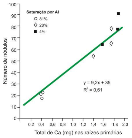 Síndrome de las raíces atrofiadas I. Toxicidad del aluminio - Image 5