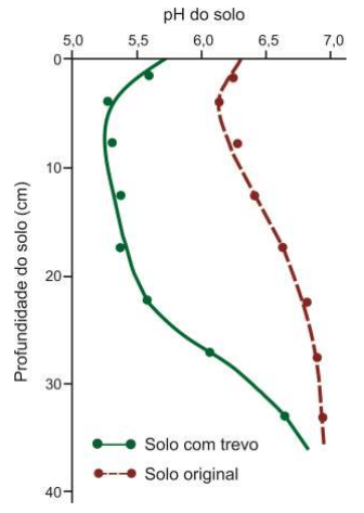 Síndrome de las raíces atrofiadas I. Toxicidad del aluminio - Image 8