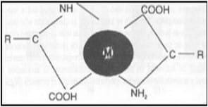 Aplicaciones de los minerales traza en la nutrición de cerdos - Image 2