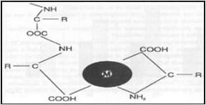 Aplicaciones de los minerales traza en la nutrición de cerdos - Image 3